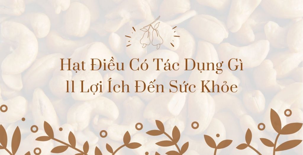 Hạt Điều Có Tác Dụng gì 11 Lợi Ích Đến Sức Khỏe Người